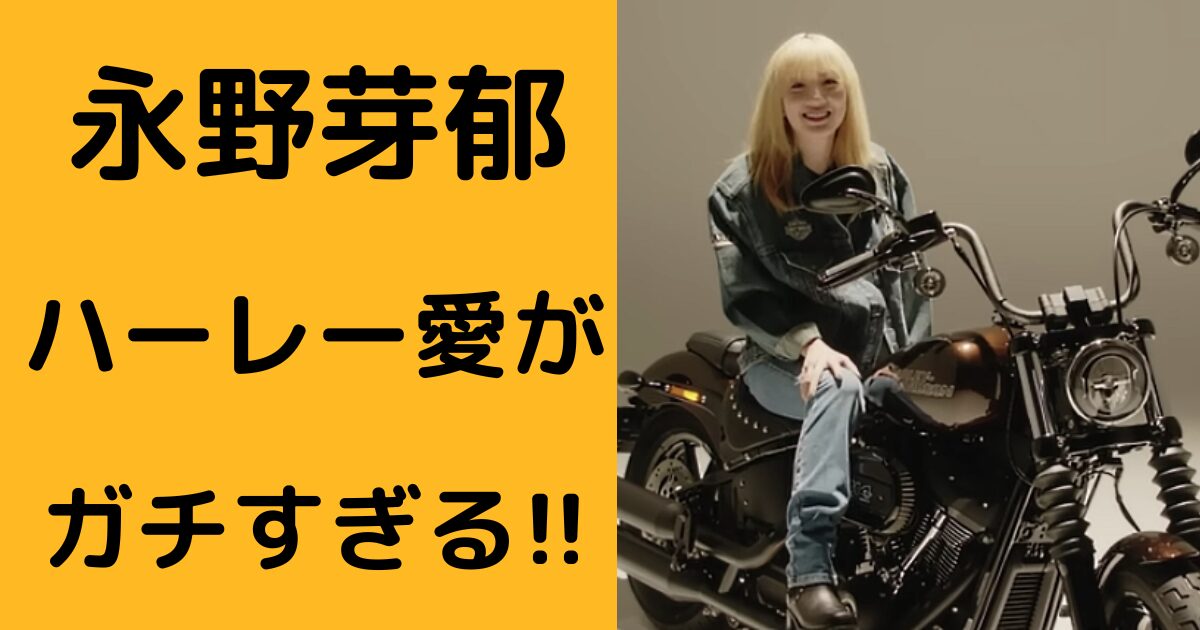 永野芽郁ブログ アイキャッチ画像
