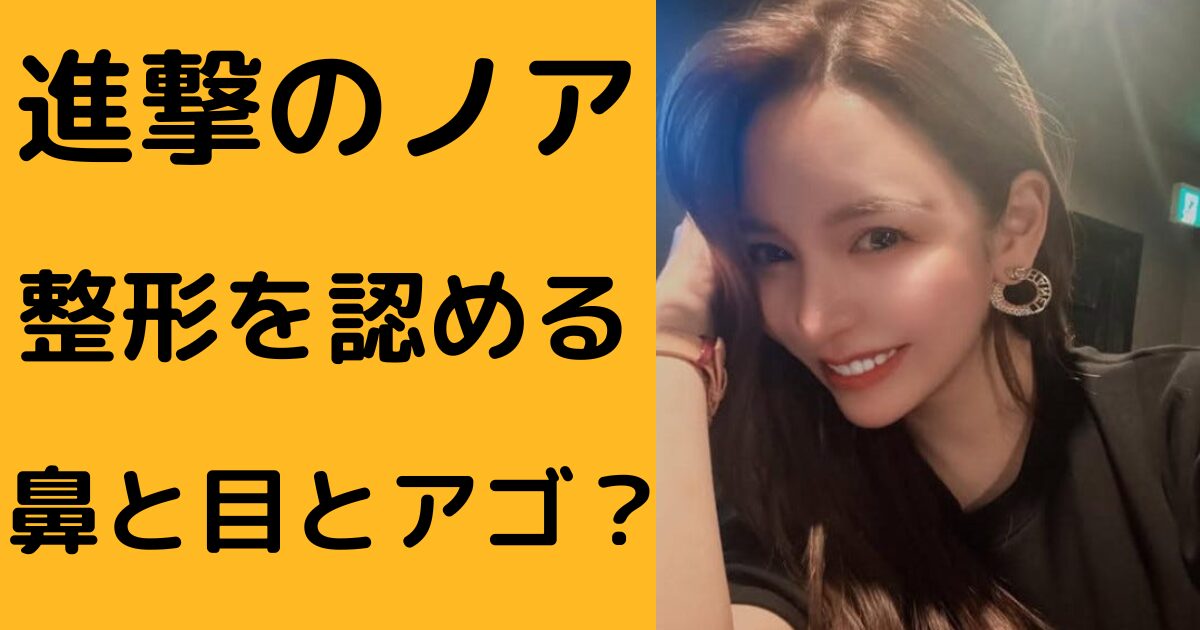 進撃のノアブログ アイキャッチ画像