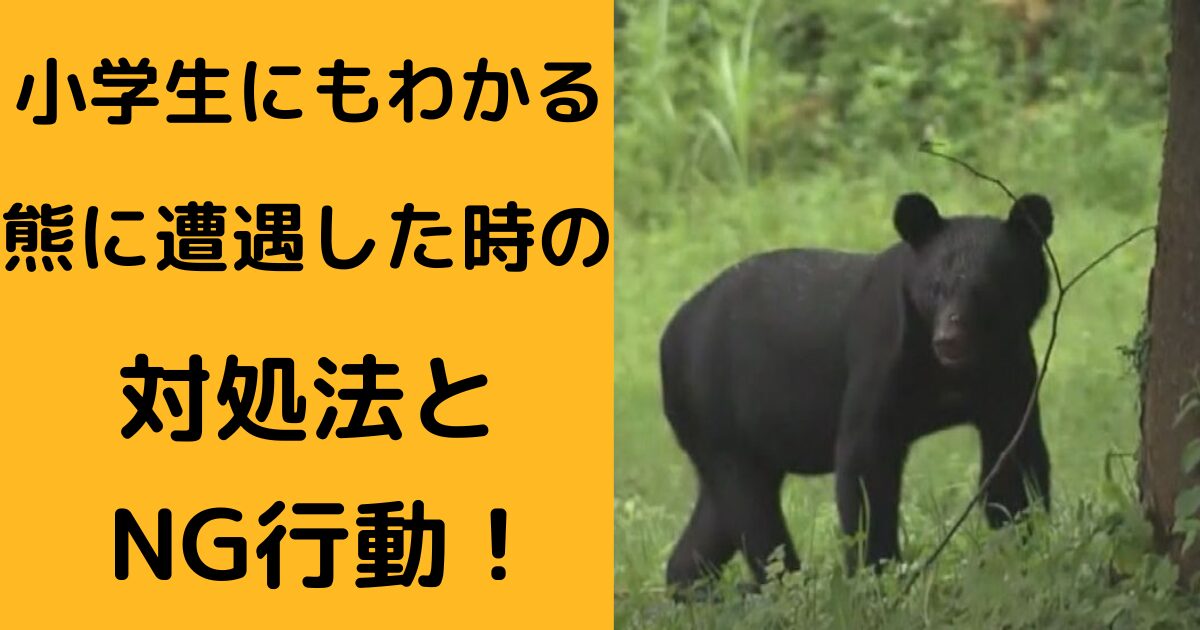 熊